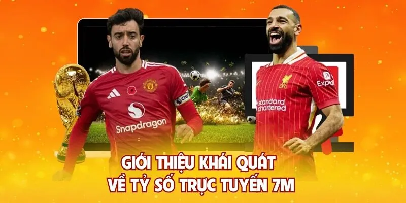 ty-so-truc-tuyen-7mcn-1